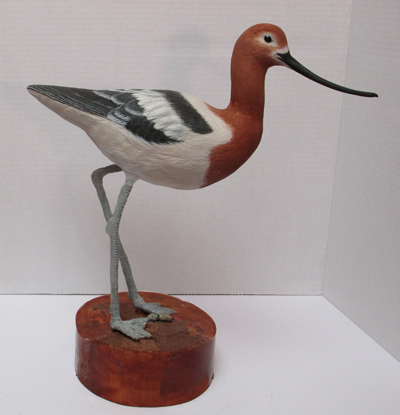 Avocet Carving